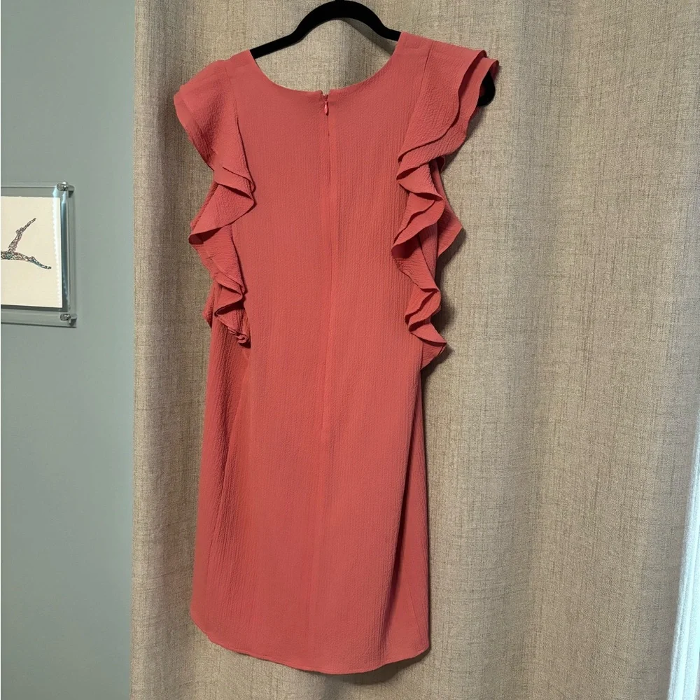 Pink Ruffle Dress - Picture 3 of 4